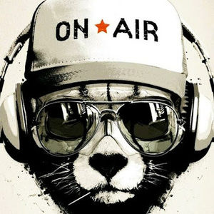 Meet your Posher, Savagebear